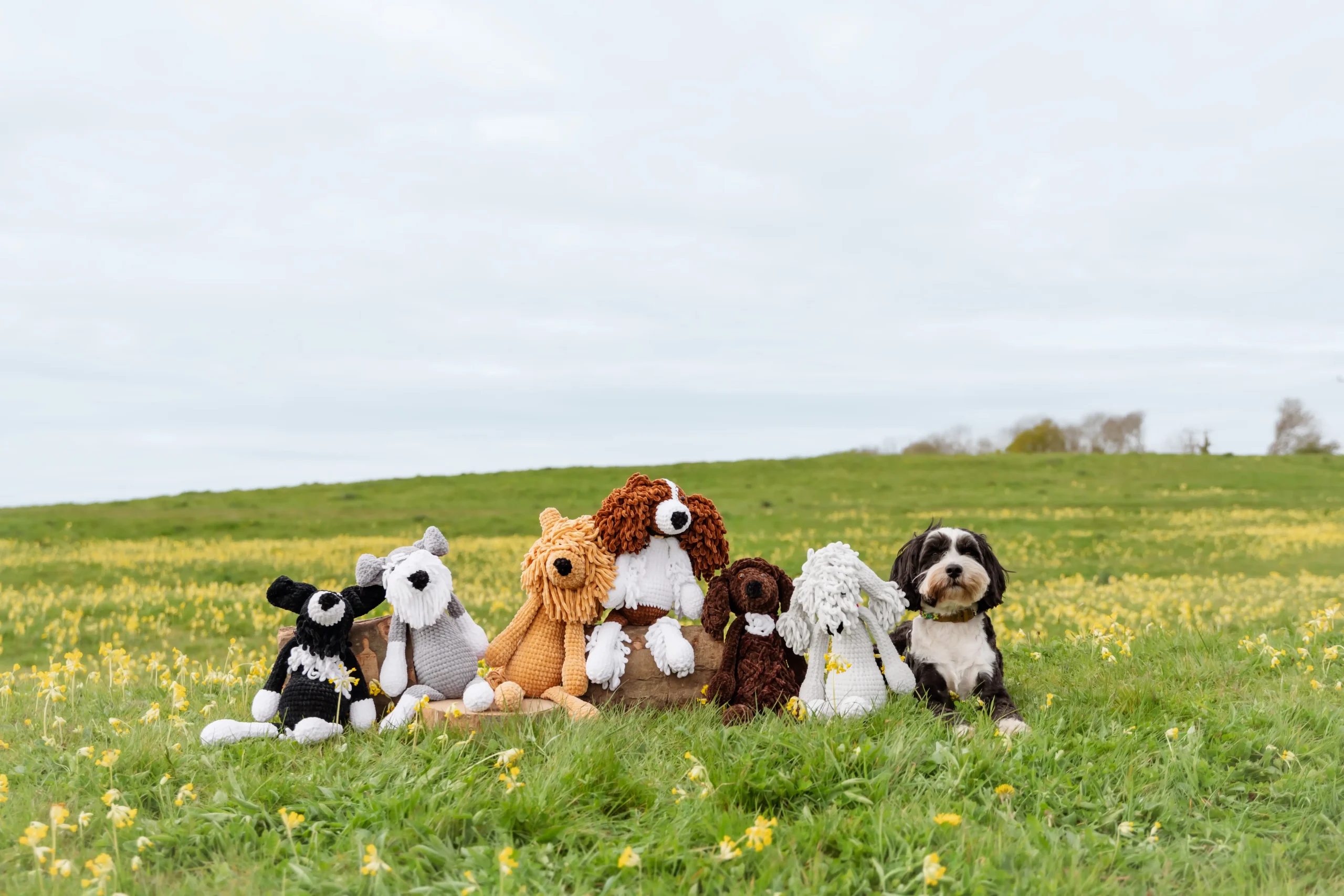 A real black and white Tibetan Terrier lies in the grass on the right side of a wildflower meadow, accompanied by six handmade crochet dogs of varying colours and styles arranged on and around a wooden log.